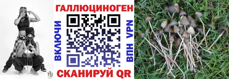 Псилоцибиновые грибы GOLDEN TEACHER Раменское