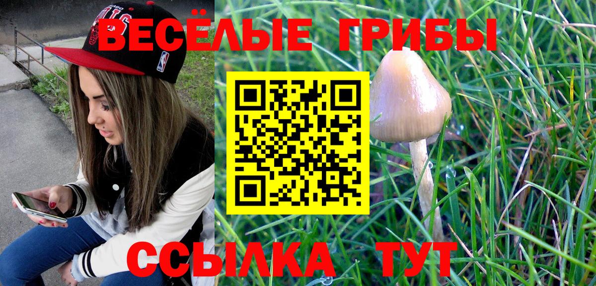 Галлюциногенные грибы Magic Shrooms  Вход с VPN  Галлюциногенные грибы Psilocybe  Раменское 